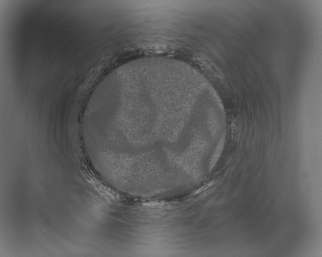 X0000073860961200609071629