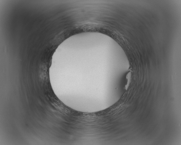 X0000073860964200609071629