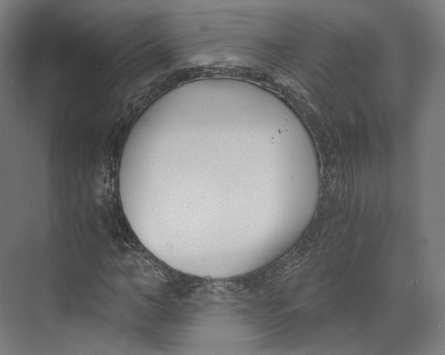 X0000073860966200609071629