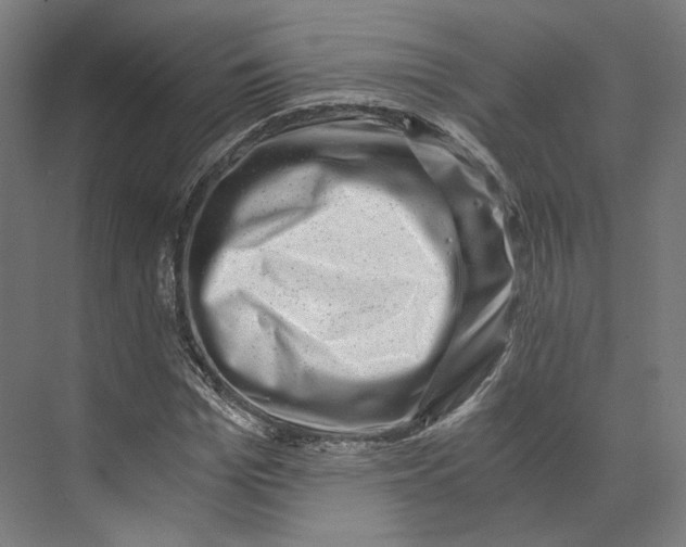 X0000073860969200609071629