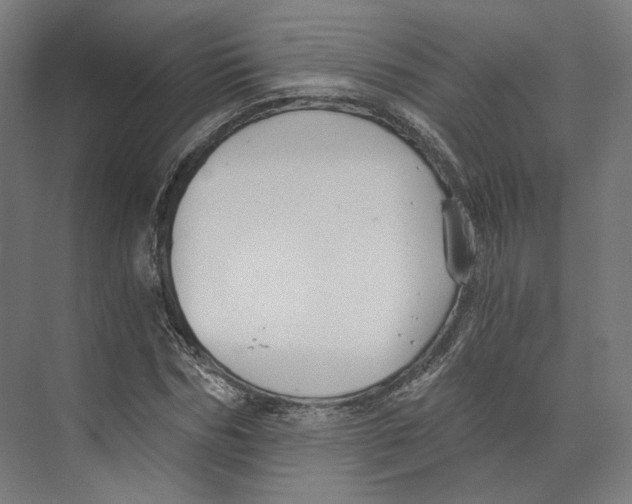 X0000073860970200609071629