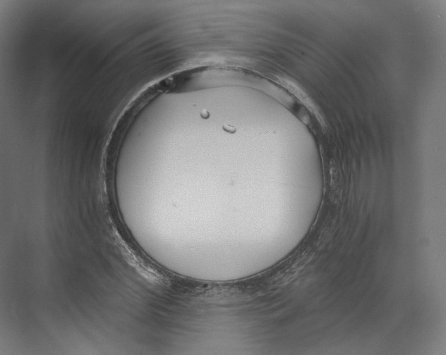 X0000073860972200609071629