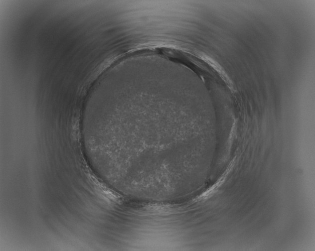 X0000073860977200609071629