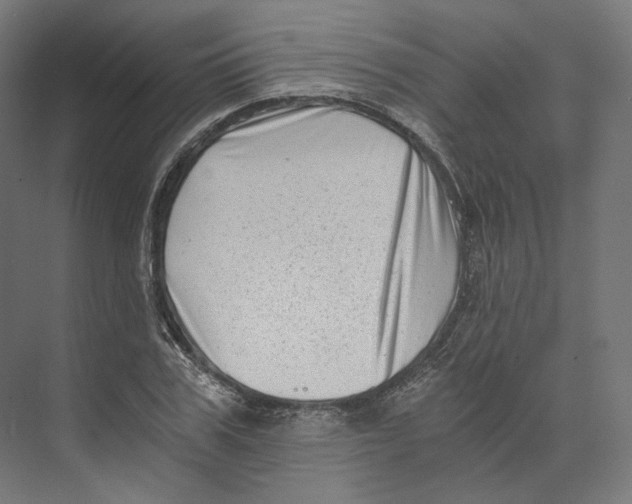 X0000073860979200609071628