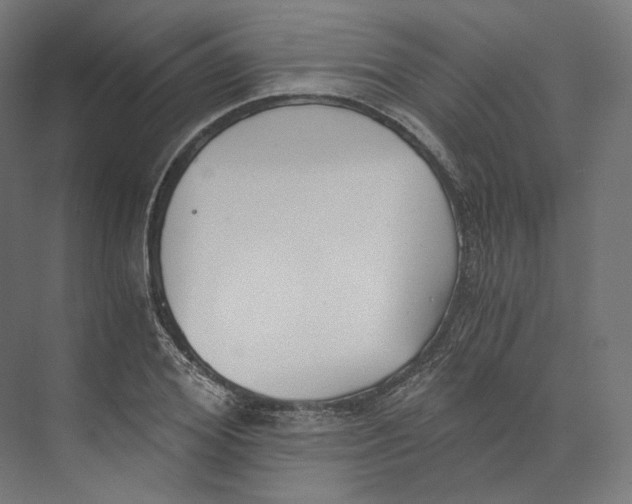 X0000073860980200609071628