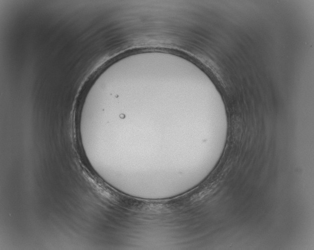 X0000073860982200609071628