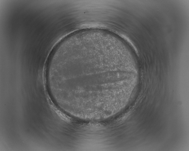 X0000073860983200609071628