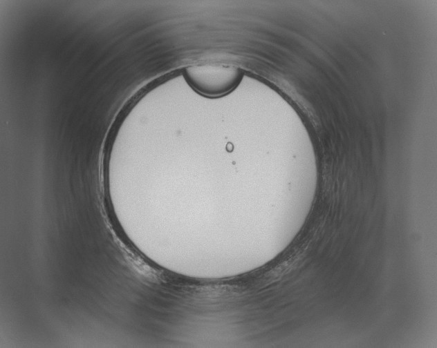 X0000073860988200609071628