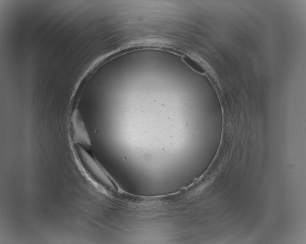 X0000073860989200609071628