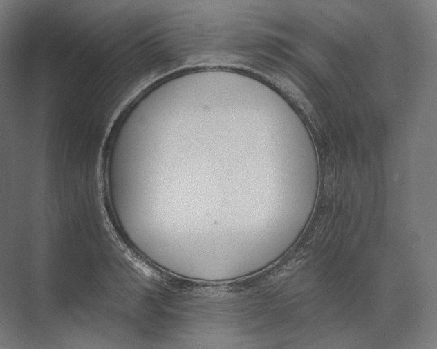 X0000073860990200609071628