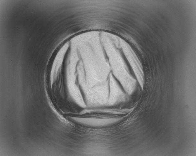 X0000073860991200609071628