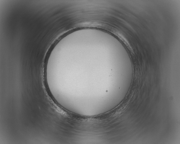 X0000073860992200609071628