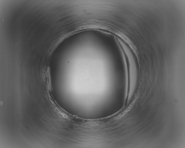 X0000073860993200609071628