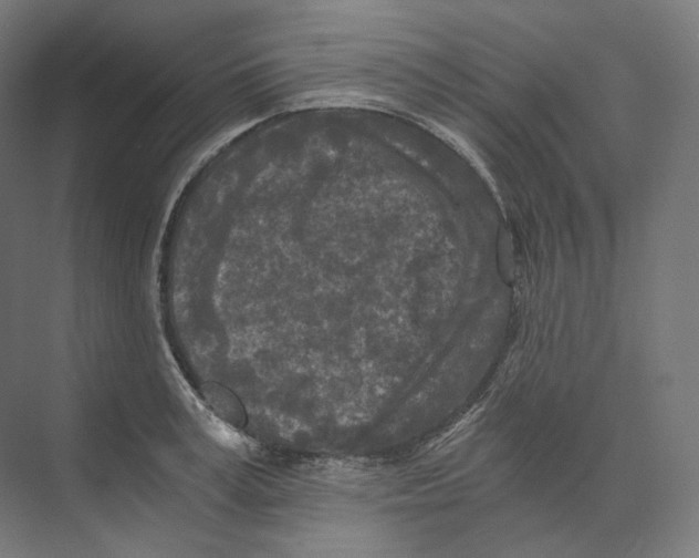 X0000073860995200609071628