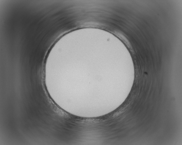 X0000073861000200609071628