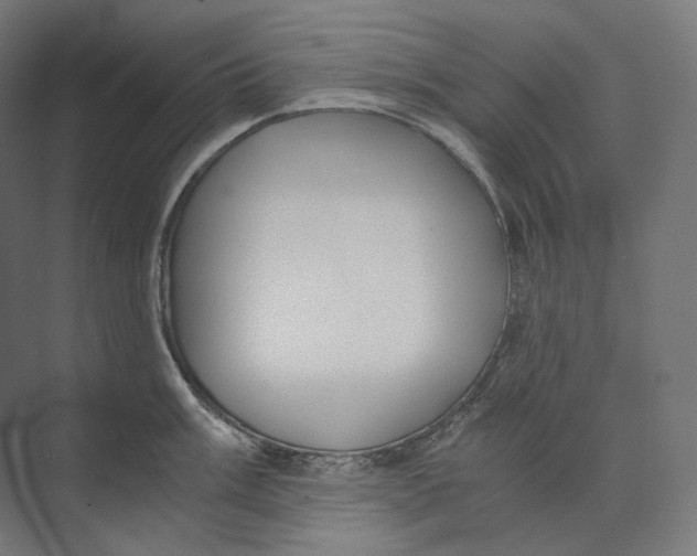 X0000073861003200609071628