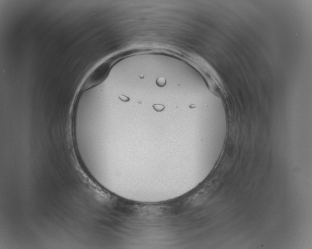 X0000073861004200609071628