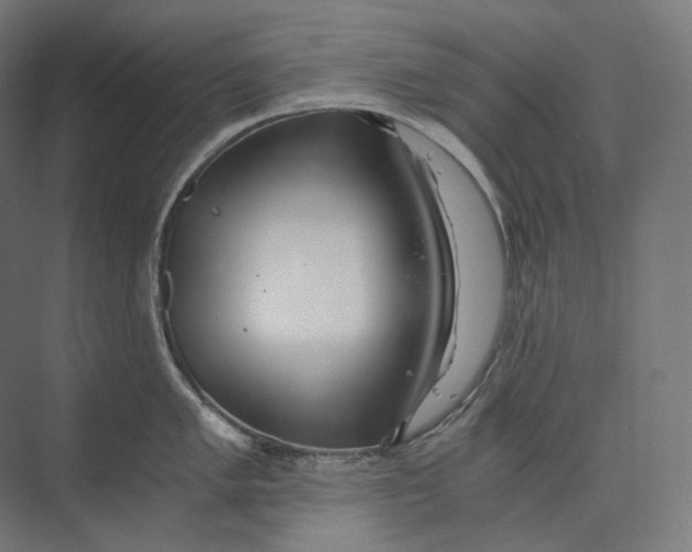 X0000073861005200609071628