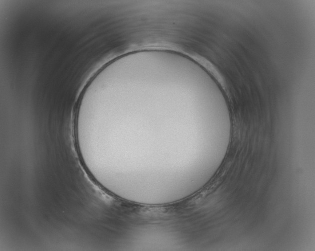 X0000073861006200609071628