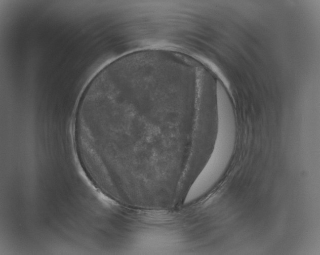 X0000073861007200609071628