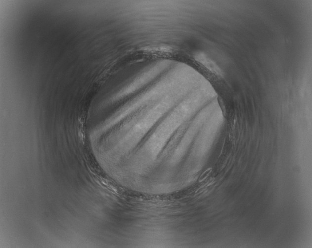 X0000073861010200609071627