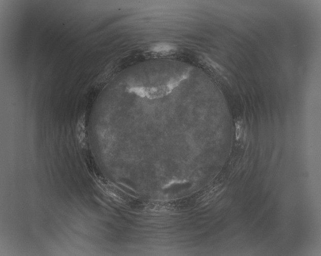 X0000073861011200609071627