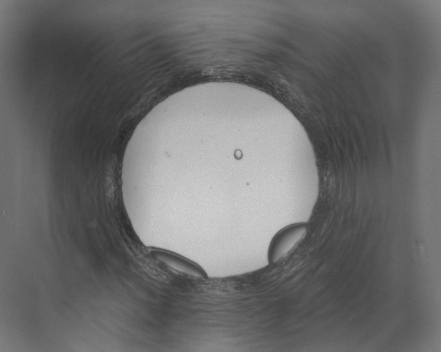 X0000073861012200609071627