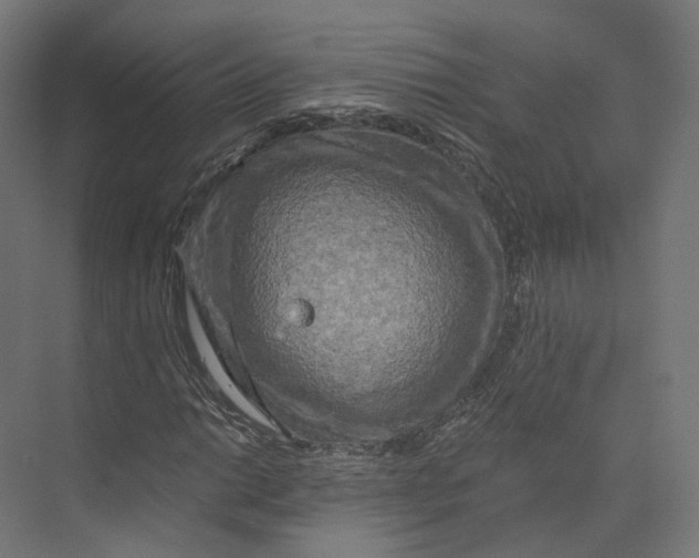 X0000073861014200609071627