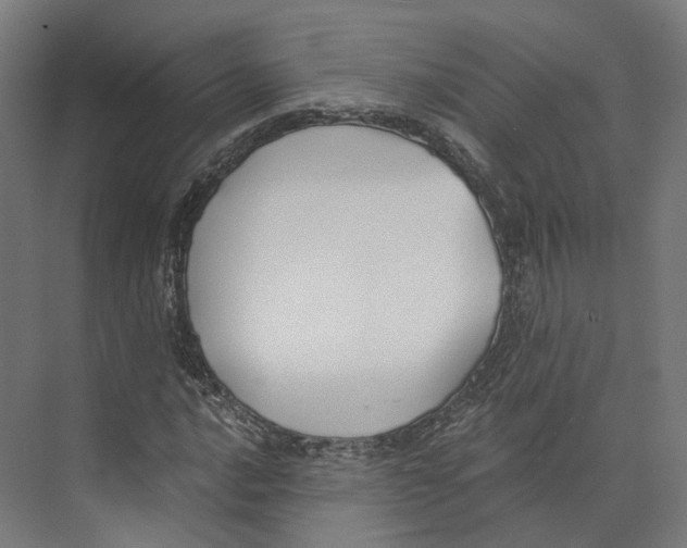 X0000073861016200609071627