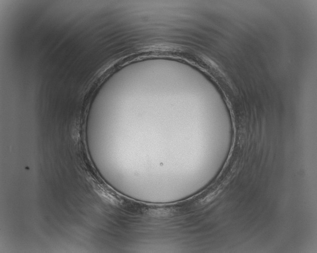 X0000073861017200609071627