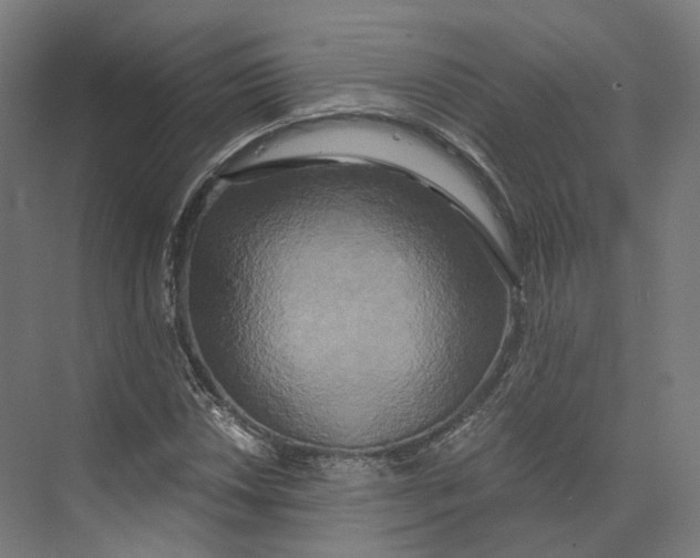 X0000073861018200609071627