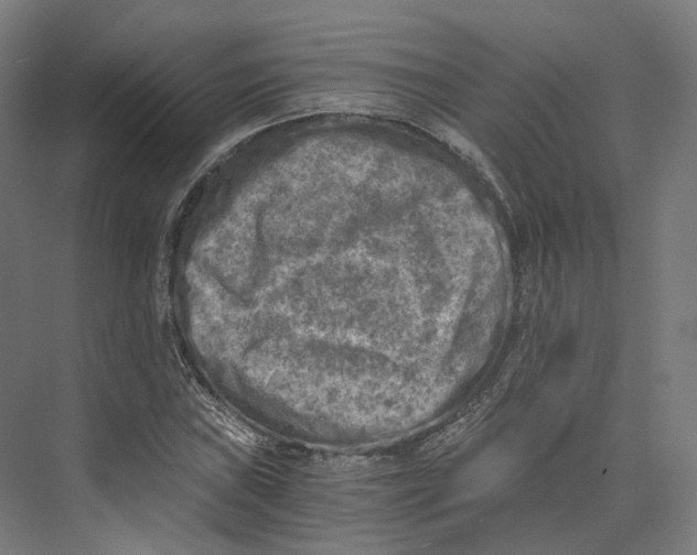 X0000073861019200609071627