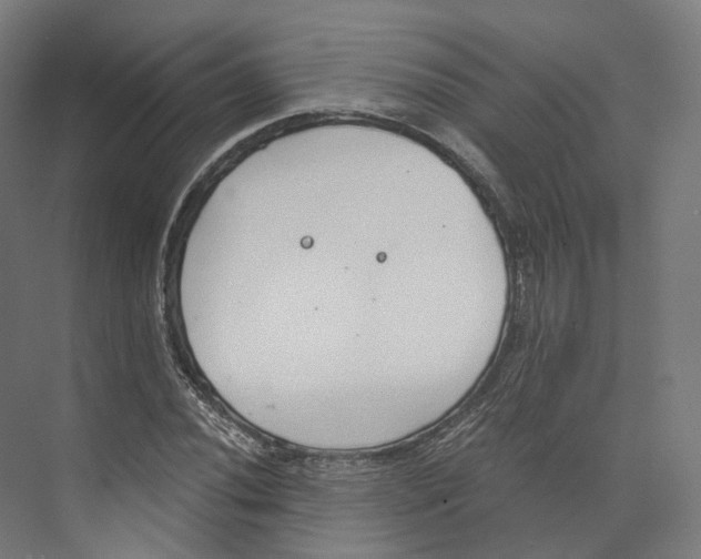 X0000073861020200609071627