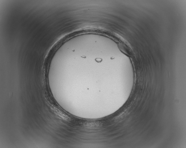 X0000073861021200609071627