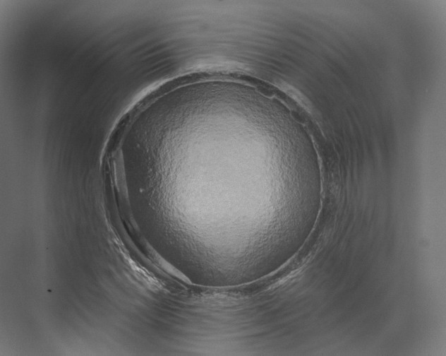 X0000073861022200609071627