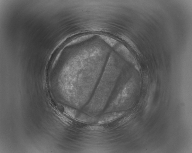 X0000073861023200609071627