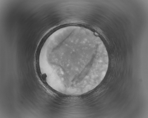 X0000073861024200609071627