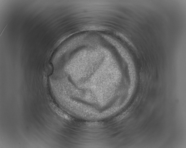 X0000073861025200609071627