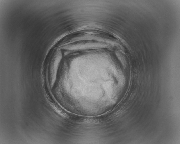 X0000073861026200609071627