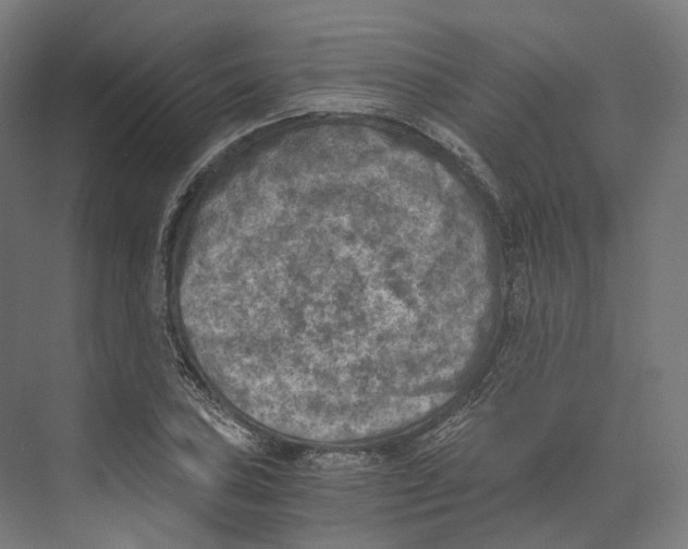 X0000073861027200609071628