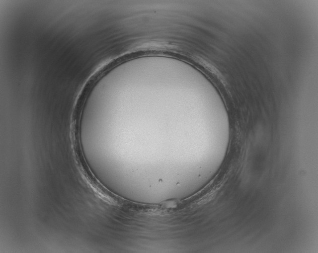 X0000073861029200609071628