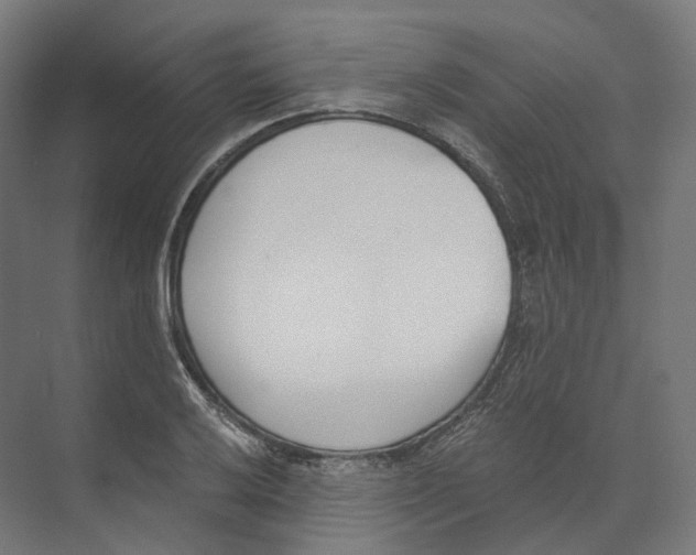 X0000073861032200609071628