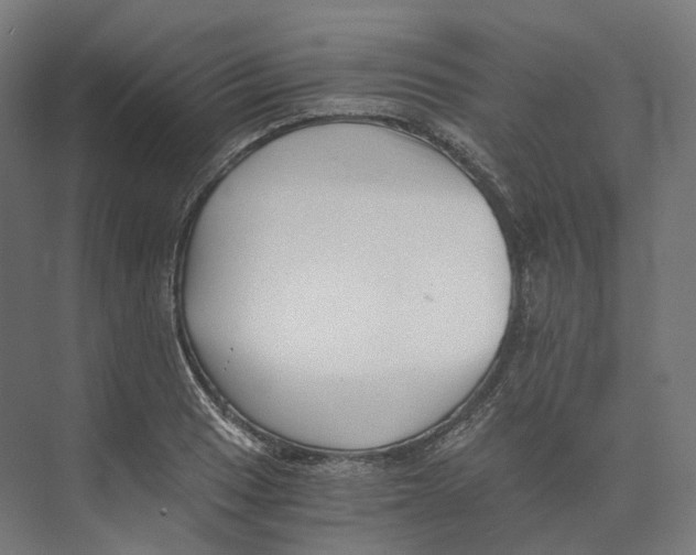 X0000073861033200609071628