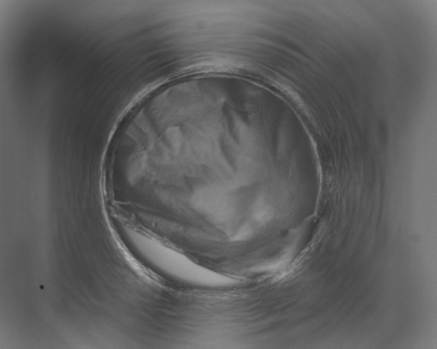 X0000073861034200609071628