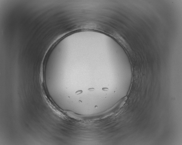 X0000073861036200609071628