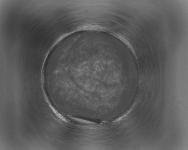 X0000073861037200609071628