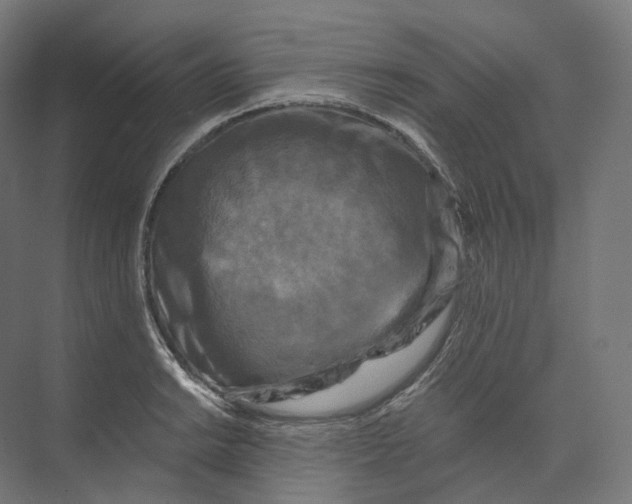 X0000073861038200609071628