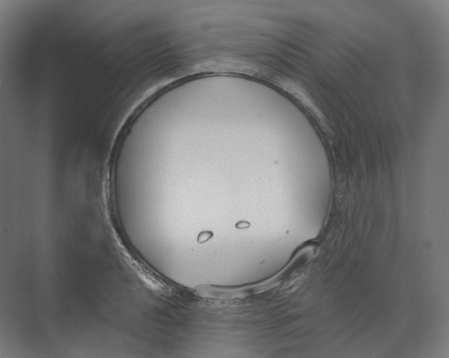 X0000073861040200609071628