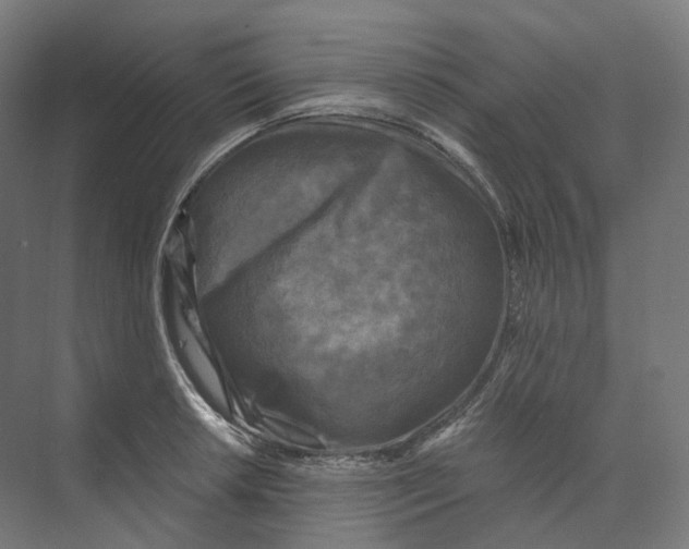 X0000073861042200609071628