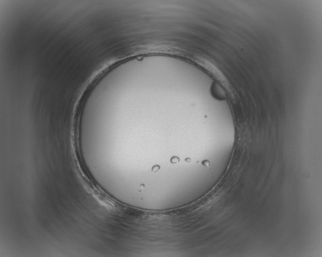 X0000073861043200609071628